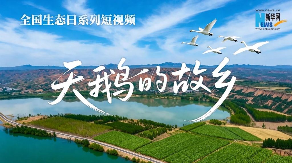 同栏目条目通常按时间倒序排列