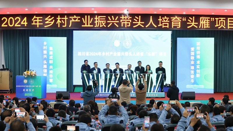 公开信息按发布时间滚动