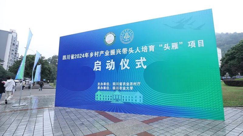 阅读「星空web版登录入口最新版下载