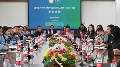 再进入全文