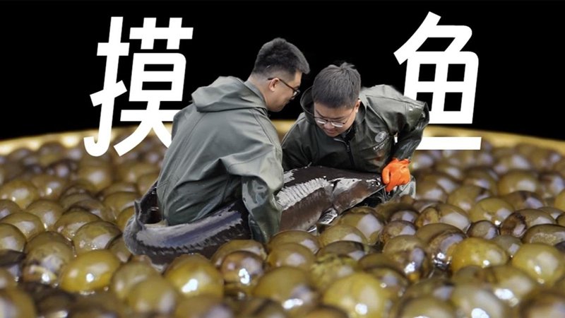 建议先扫读标题与摘要