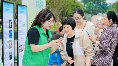公开信息按发布时间滚动