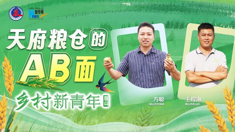 可回到列表或查看相邻条目