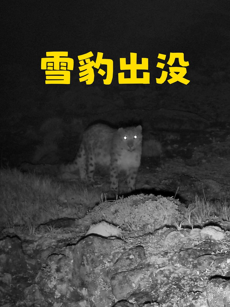 列表适合快速定位