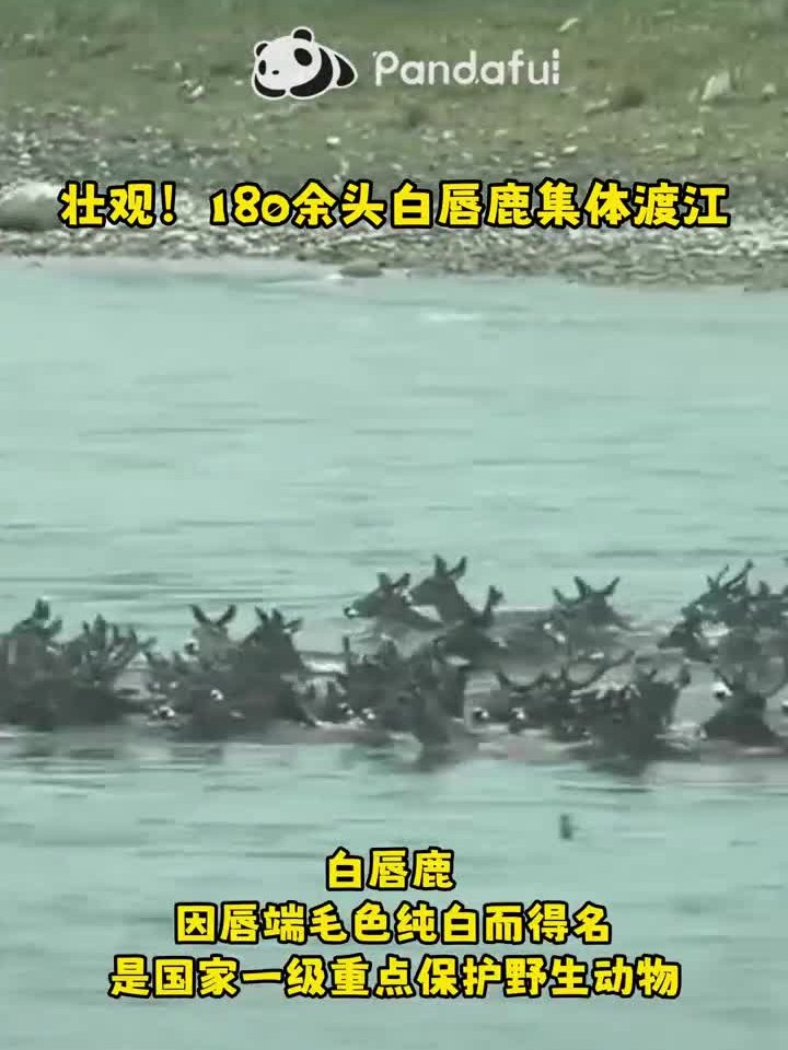 建议先扫读标题与摘要