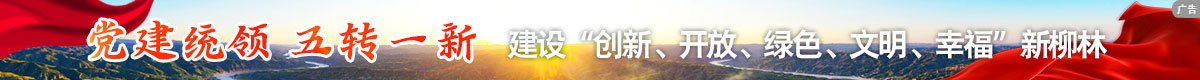 星空web版登录入口股份有限星空we