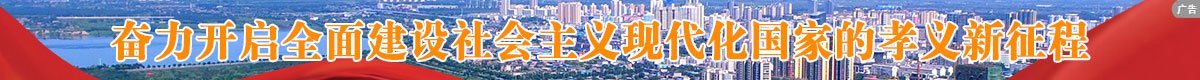 document.write(new