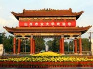 星空web版登录入口
