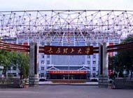 再进入全文